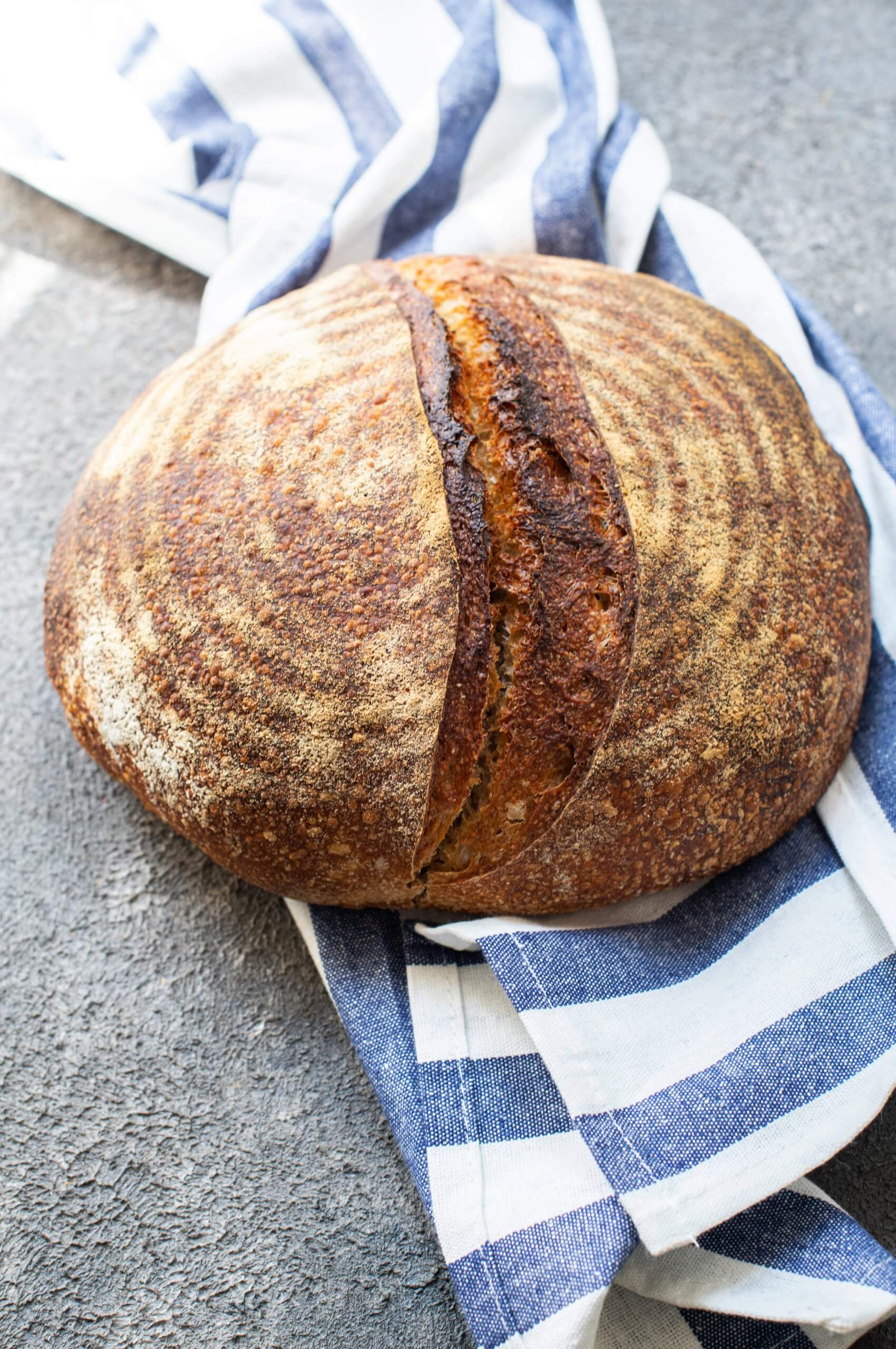 Pizzabällchen einfaches Fingerfood Rezept | Kinderliebling Pizzabällchen einfaches Fingerfood Rezept | Kinderliebling