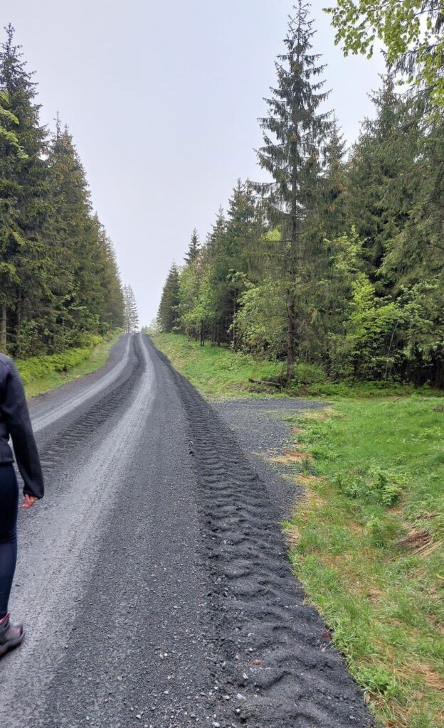 Wanderweg mit Schiefergestein