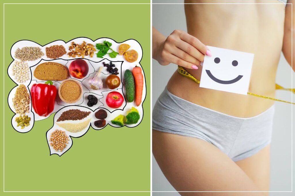 Eine grafische Darstellung eines menschlichen Darms aus ballaststoffreichen Lebensmitteln illustriert das Prinzip der NiMe-Diät (Restore-Diät) für ein gesundes Mikrobiom.